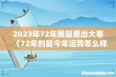72年的鼠今年运势怎么样 2023年72年属鼠要出大事