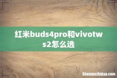 红米buds4pro和vivotws2怎么选
