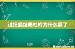 过把瘾结局杜梅为什么疯了