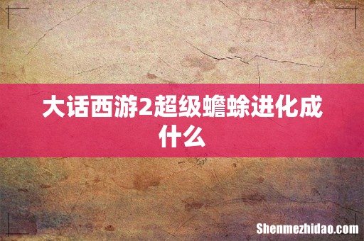 大话西游2超级蟾蜍进化成什么