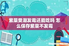 紫菜受潮发霉还能吃吗 怎么保存紫菜不发霉