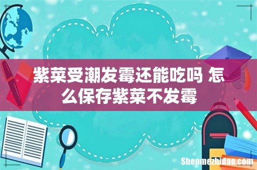 紫菜受潮发霉还能吃吗 怎么保存紫菜不发霉