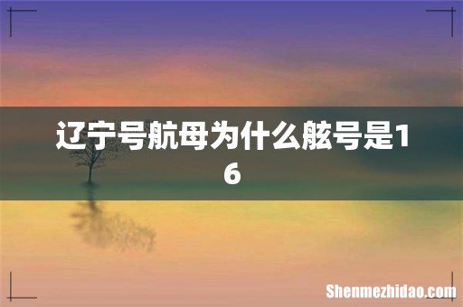 辽宁号航母为什么舷号是16