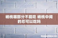 杨桃哪部分不能吃 杨桃中间的芯可以吃吗