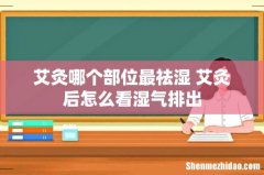 艾灸哪个部位最祛湿 艾灸后怎么看湿气排出