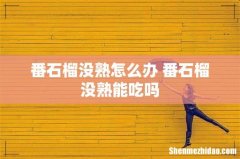番石榴没熟怎么办 番石榴没熟能吃吗