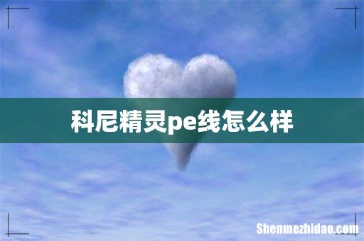 科尼精灵pe线怎么样