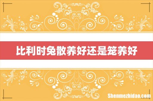 比利时兔散养好还是笼养好