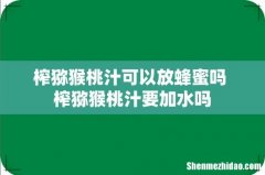 榨猕猴桃汁可以放蜂蜜吗 榨猕猴桃汁要加水吗