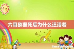 六耳猕猴死后为什么还活着