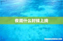 夜阑什么时候上线