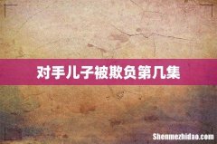 对手儿子被欺负第几集