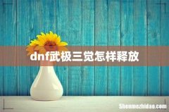 dnf武极三觉怎样释放