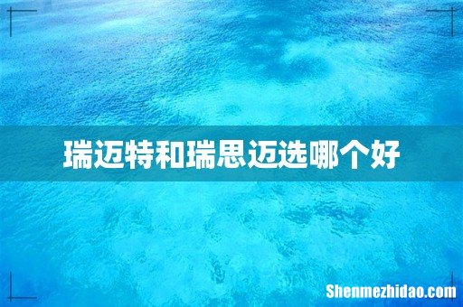 瑞迈特和瑞思迈选哪个好