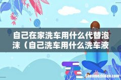 自己洗车用什么洗车液 自己在家洗车用什么代替泡沫