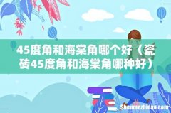 瓷砖45度角和海棠角哪种好 45度角和海棠角哪个好