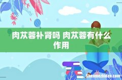 肉苁蓉补肾吗 肉苁蓉有什么作用