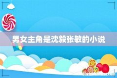 男女主角是沈毅张敏的小说