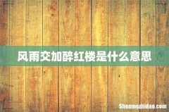 风雨交加醉红楼是什么意思