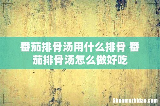 番茄排骨汤用什么排骨 番茄排骨汤怎么做好吃