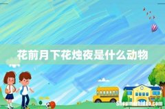 花前月下花烛夜是什么动物