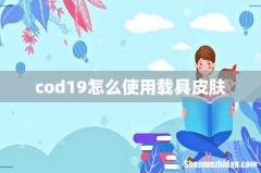 cod19怎么使用载具皮肤