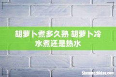 胡萝卜煮多久熟 胡萝卜冷水煮还是热水