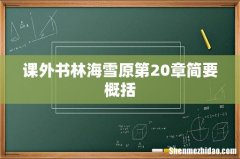 课外书林海雪原第20章简要概括