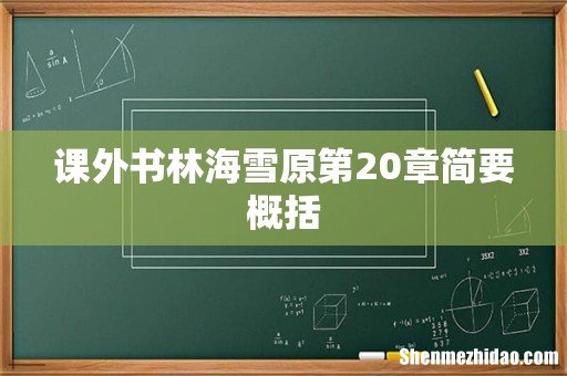 课外书林海雪原第20章简要概括