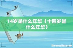 十四岁是什么年华 14岁是什么年华