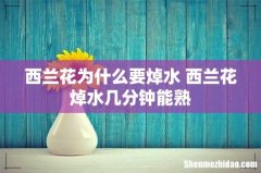 西兰花为什么要焯水 西兰花焯水几分钟能熟