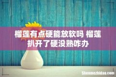 榴莲有点硬能放软吗 榴莲扒开了硬没熟咋办
