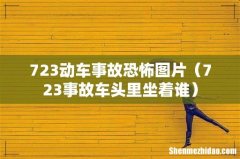 723事故车头里坐着谁 723动车事故恐怖图片