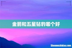 金箭和五星钻豹哪个好
