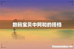 数码宝贝中阿和的搭档