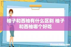 柚子和西柚有什么区别 柚子和西柚哪个好吃