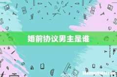 婚前协议男主是谁
