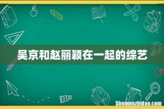 吴京和赵丽颖在一起的综艺