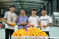 2016年轻人创业项目 2016年轻人创业项目是什么