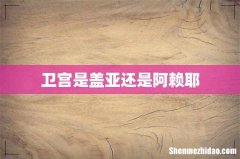 卫宫是盖亚还是阿赖耶