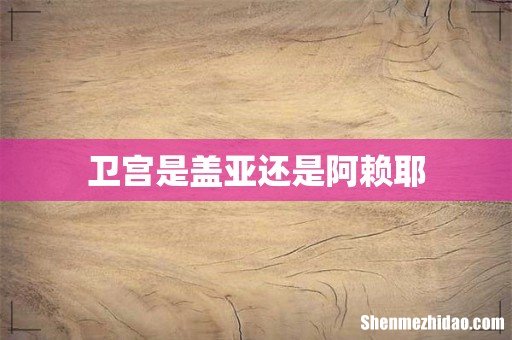 卫宫是盖亚还是阿赖耶