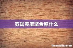 苏轼黄庭坚合称什么