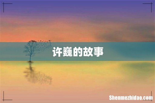 许巍的故事