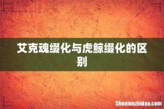 艾克魂缀化与虎鲸缀化的区别
