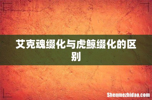 艾克魂缀化与虎鲸缀化的区别