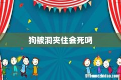 狗被洞夹住会死吗