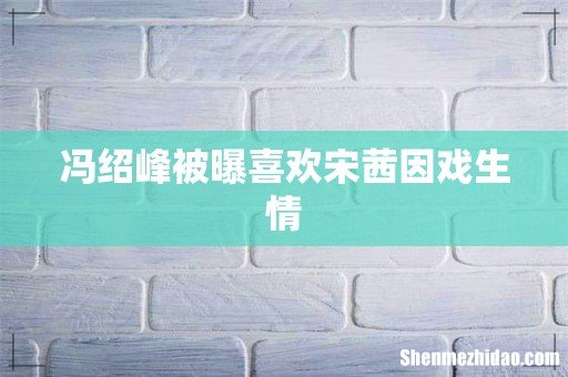 冯绍峰被曝喜欢宋茜因戏生情