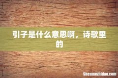 引子是什么意思啊，诗歌里的