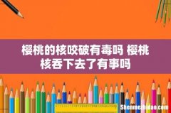 樱桃的核咬破有毒吗 樱桃核吞下去了有事吗