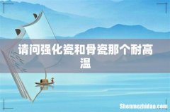 请问强化瓷和骨瓷那个耐高温